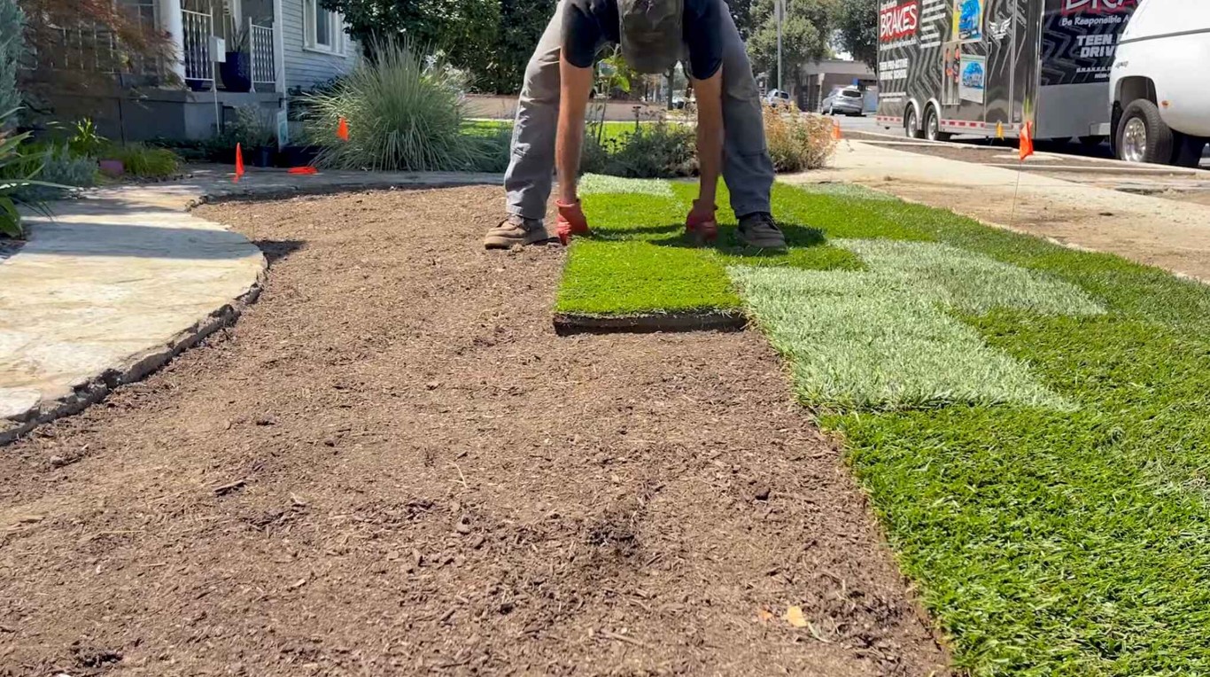 Sod installation and new lawn services in Buena Park, CA